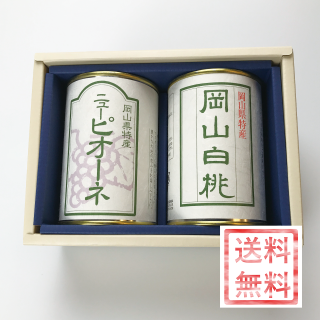 【ギフト向き】岡山県産フルーツ缶詰　2缶セット（岡山白桃・ピオーネ）　