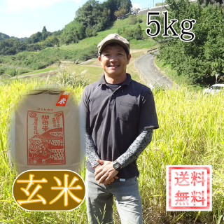 【棚田米】岡山・美咲町　宮尾農場　コシヒカリ　5kg玄米