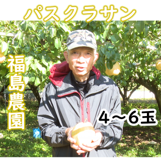 【早割】福島農園（岡山県赤磐市）パスクラサン　約3キロ(4〜6玉)　　発送予定：12月中旬ごろ