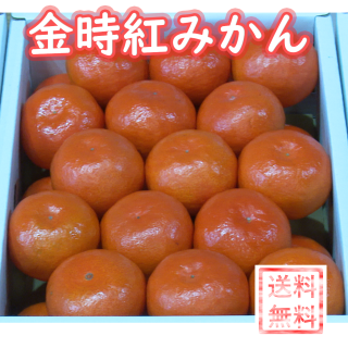 【販売終了】香川県産　金時紅みかん 2.5kg（21〜25玉）　※送料無料