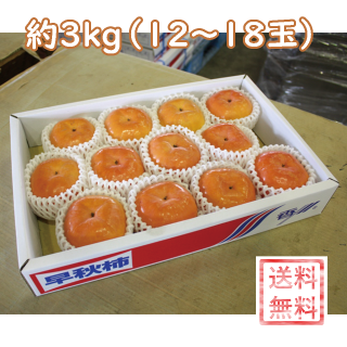 早秋柿　約3kg（12〜18玉入り）