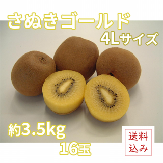 ̤ɥʲ͡ˡ3.5kg 4L16ȯͽꡧܡ ʸڡۣޤ