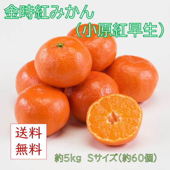 販売終了 金時紅みかん 小原紅早生 約5kg Sサイズ 約60個 発送期間 11月下旬ごろ 12月下旬ごろ 公式 直送 せとうちバスケット 岡山 香川のこだわりの特産品をお届けする通販サイト