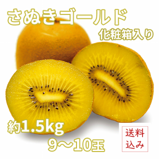 ̤ɥʲ͡ˡ1.5kg Ȣ910ȯͽꡧܡܡʸڡۣޤ