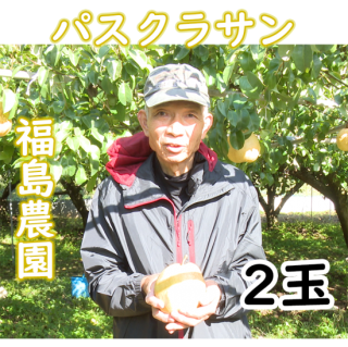 福島農園（岡山県赤磐市）パスクラサン　約2キロ(2玉)　　発送予定：12月中旬ごろ
