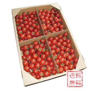 ミニトマト（香川県産）　約3kg　バラ詰め　　　　発送期間：2月中旬ごろ〜6月下旬ごろ