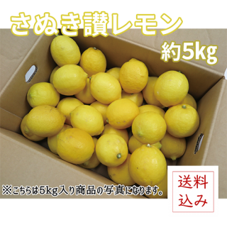 ̤ʥ꡼ˡ5kgM3̥2050ġ  ȯ֡105