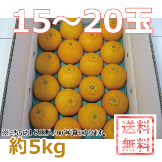 デコポン（香川県産）　約5kg　　4L〜2Lサイズ（15〜20玉）　　 発送期間：2月下旬ごろ〜4月中旬ごろ　　　