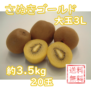 佪λ̤ۤɥʲ͡ˡ3.5kg 3L20ˡȯ֡ܤܤ