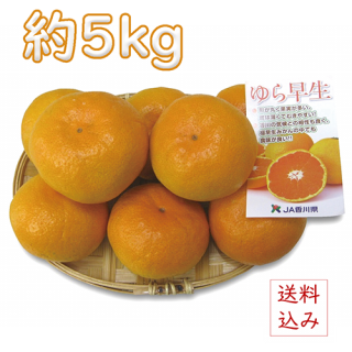 ڹۤߤ5kgȯ֡ܤܤ