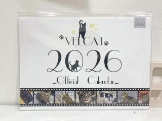 <img class='new_mark_img1' src='https://img.shop-pro.jp/img/new/icons6.gif' style='border:none;display:inline;margin:0px;padding:0px;width:auto;' />VELCATꥸʥƥ2026(ɳݤ)
