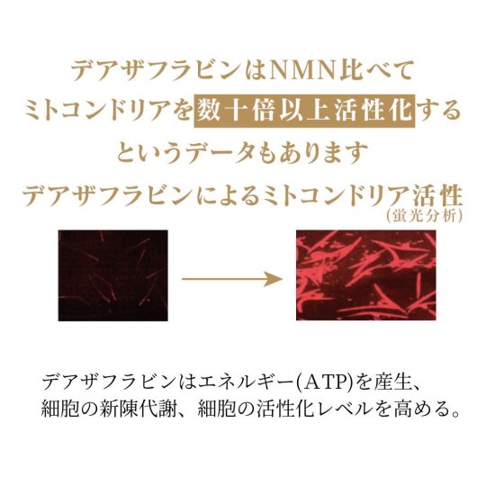 デアザフラビン plus 5-ALA W配合 日本製 純度99.9％以上 1粒NMN1200mg相当 高含有量 次世代型 NMN サーチュイン  サプリメント - 虹の葉project