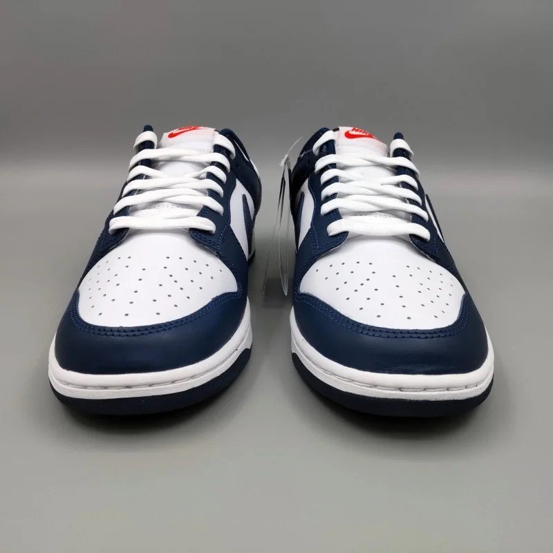 NIKE DUNK LOW RETRO DD1391-400 28.5cm ꥢ֥롼/ۥ磻/˥Сƥå  7 snisellya