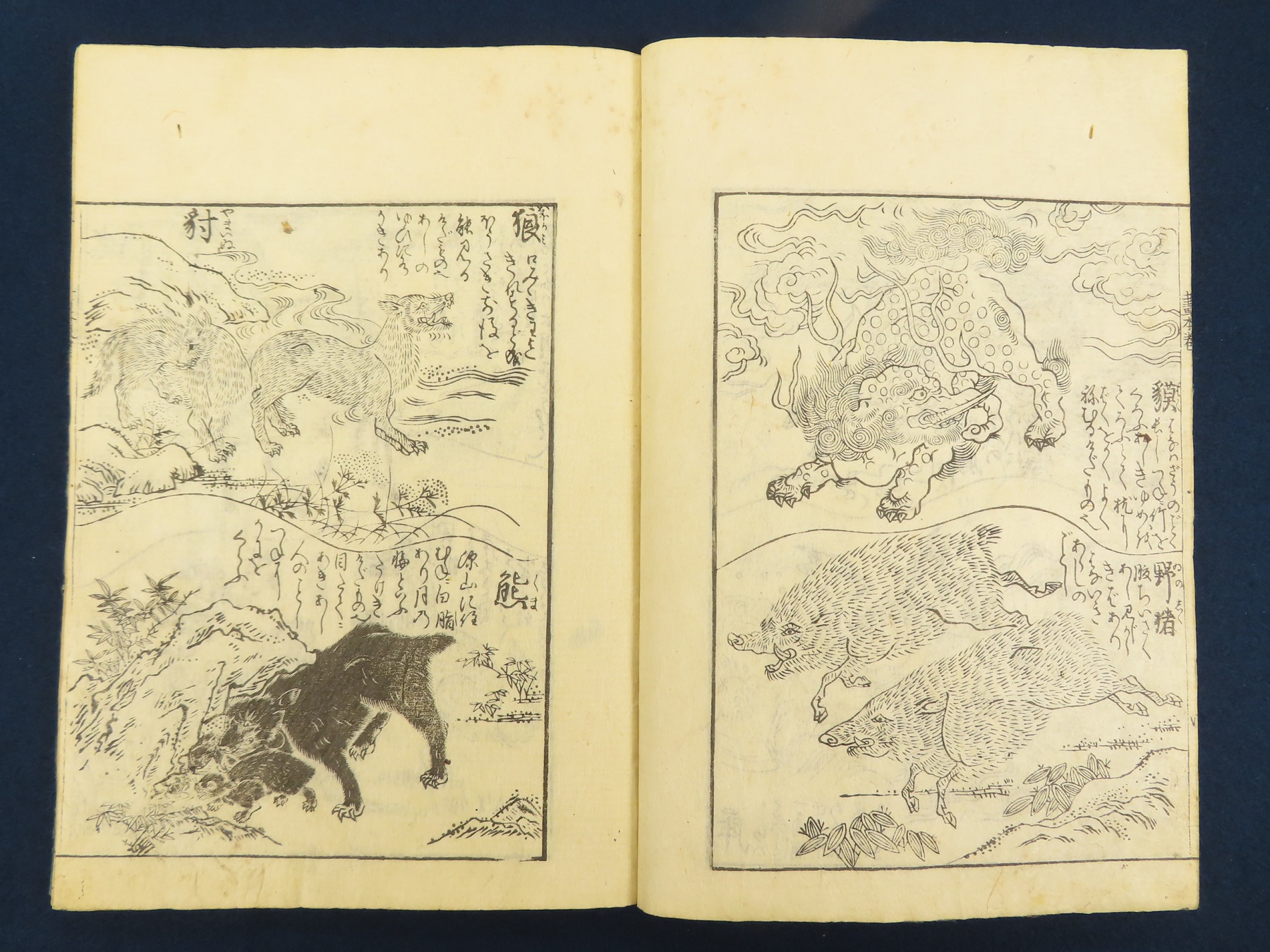 神戸 古本買取 古書出張買取 猫犬狼象魚 絵本 和本