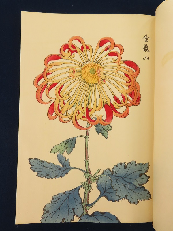 契花百菊【あかつき書房】神戸 和本買取 六甲/東灘/芦屋/西宮/大阪/京都