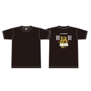 <img class='new_mark_img1' src='https://img.shop-pro.jp/img/new/icons3.gif' style='border:none;display:inline;margin:0px;padding:0px;width:auto;' />奄美ハブTシャツ(金運魔除)
