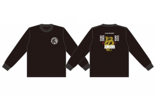 <img class='new_mark_img1' src='https://img.shop-pro.jp/img/new/icons14.gif' style='border:none;display:inline;margin:0px;padding:0px;width:auto;' />奄美ハブTシャツ(ロングスリーブ)(金運魔除)