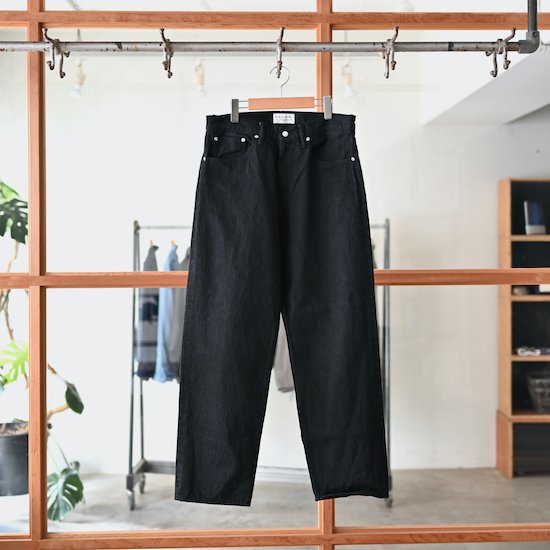 ENDS and MEANS / 5 Pockets Denim