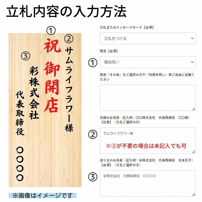 高級胡蝶蘭 3本立 赤リップ 45輪以上(栗田和人の胡蝶蘭