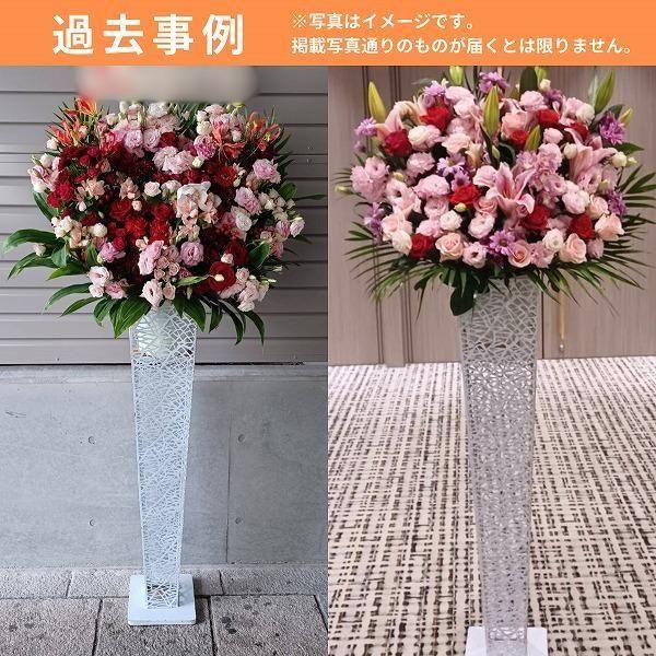 ɲ ֥ꥭ ԥ󥯡ַ(ͭ)ġϰ 4