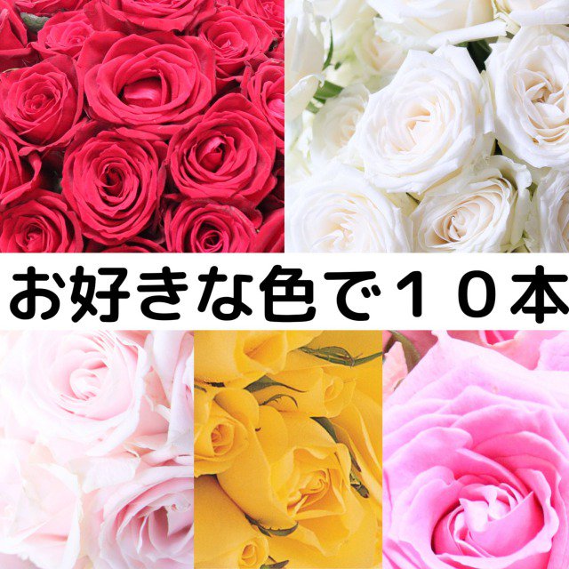 【バラ農園直送】国産バラ花束10本 お好きな色でカスタマイズ