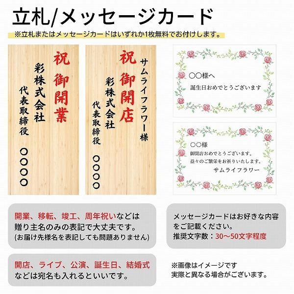 (Ѥ)ĳ 3Ω 3336ذʾ墨Ĥܤߤޤ(ǳߤȤƼΤƤȭ) 8