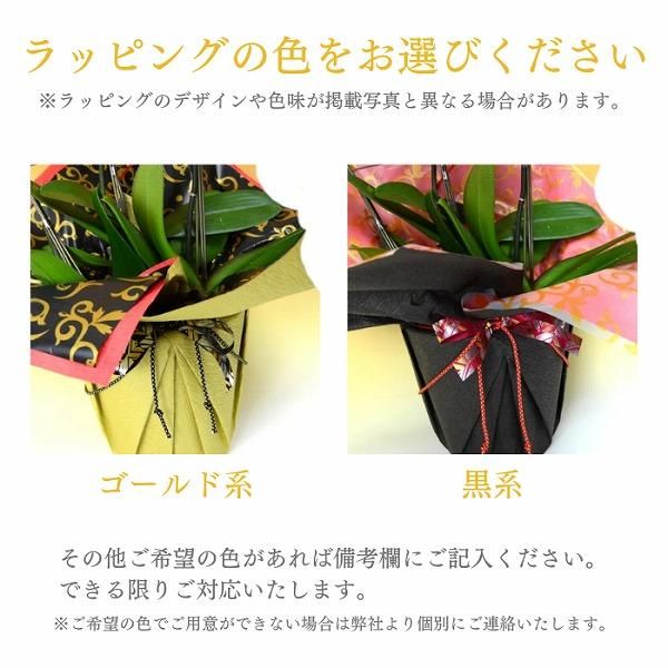 国宝級豪華『本金箔プラチナ箔』✨黄金に輝く源氏物語✨最高位袋帯 国宝級豪華『本金箔プラチナ箔』✨黄金に輝く源氏物語✨最高位