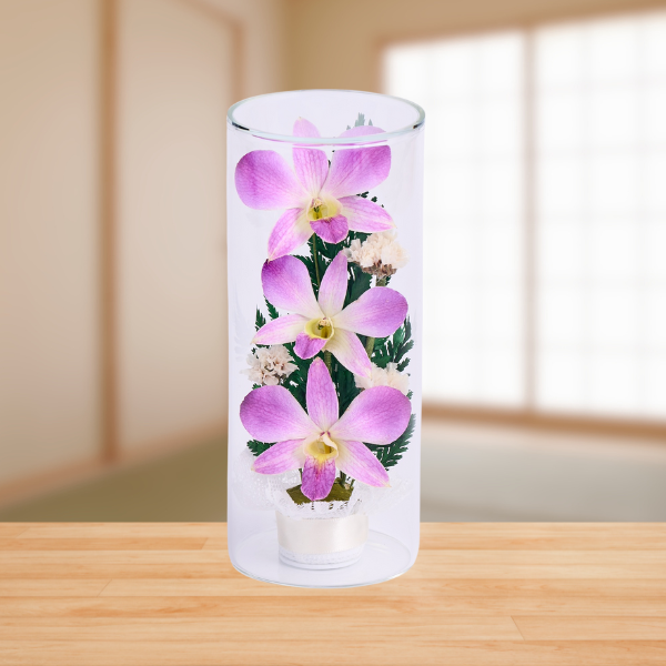 ڤѡۥ饹ե(ɥ饤ե) 