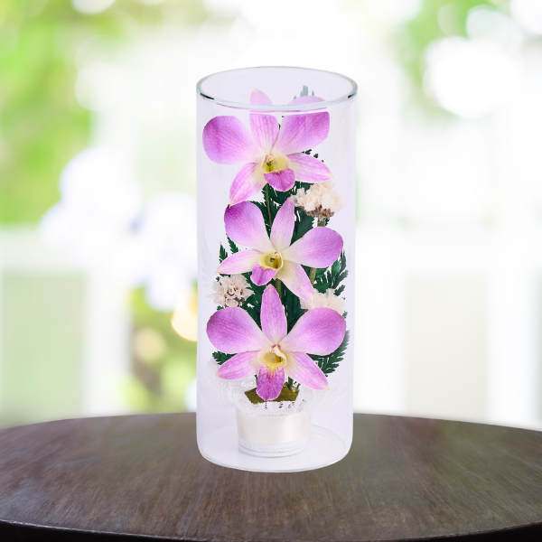 ڤѡۥ饹ե(ɥ饤ե)  2