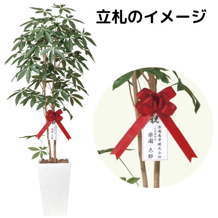造花(光触媒)】観葉植物 アーバンパキラ 1.8cm(941A600)‐サムライフラワー