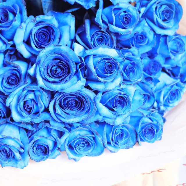 バラ 花束】青いバラ（ブルーローズ）ブーケ 10本‐サムライフラワー