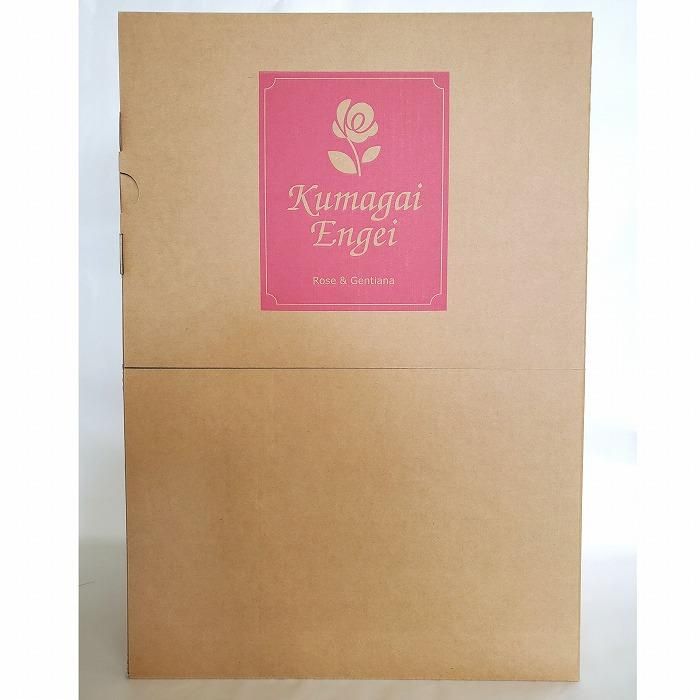 ֤ĤΥߥåХ20ܡþǮΥåɡ߿Υ֥롼̥ڤ䤫« 9