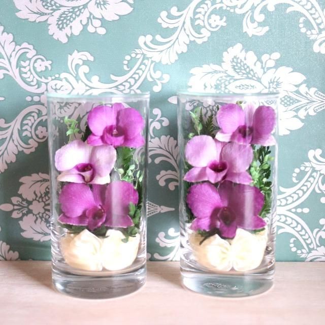 ڤѡۥ饹ե(ɥ饤ե) 2ĥå 5