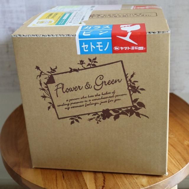 ڤѡۥ饹ե(ɥ饤ե) 2ĥå 7