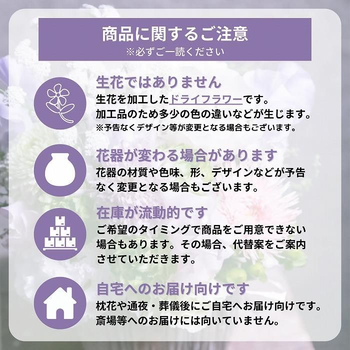 ڤѡۥ饹ե(ɥ饤ե)  7