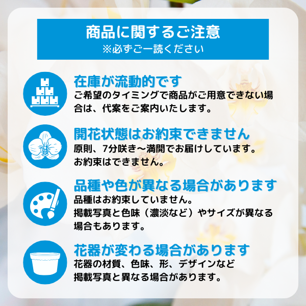 ߥ˸ĳ 2Ω ɥåȭ() 6