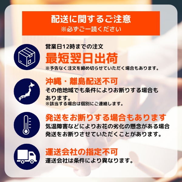 ߥ˸ĳ 2Ω ɥåȭ() 7