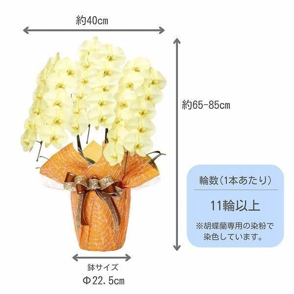 金蘭重ね小鉢　金色の花柄　5セット 金蘭重ね小鉢 金色の花柄 5セット