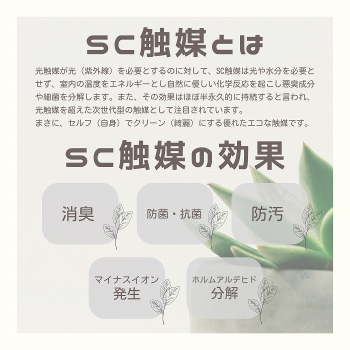¤(SC)۴տʪ ꥢ륫饸塼 100cm(suzu-2397ks-pot) 17