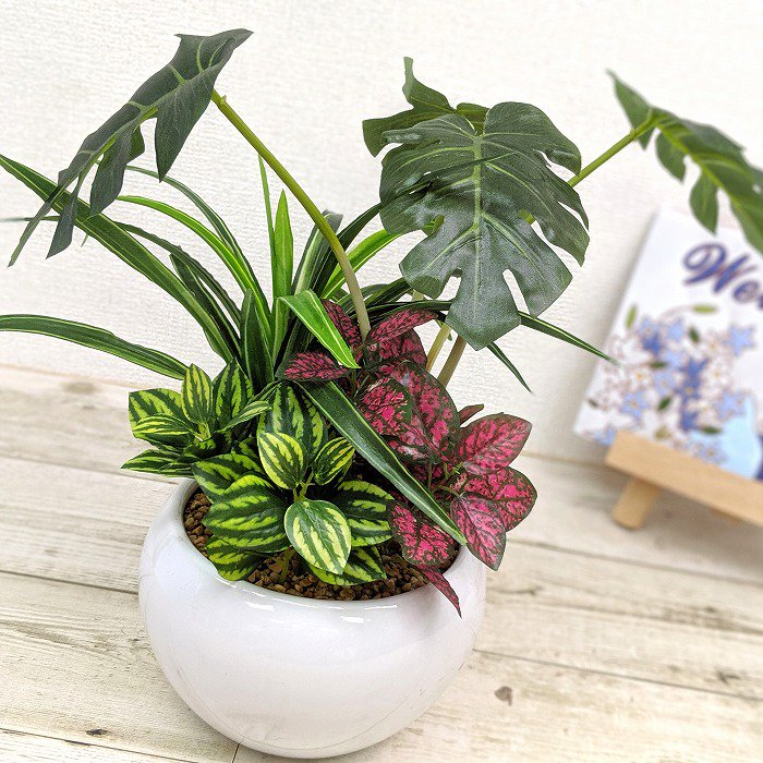 造花(SC触媒)】観葉植物 ミニジャングルポット モンステラ 寄せ植え 31cm(sg-mhafs-1000)‐サムライフラワー