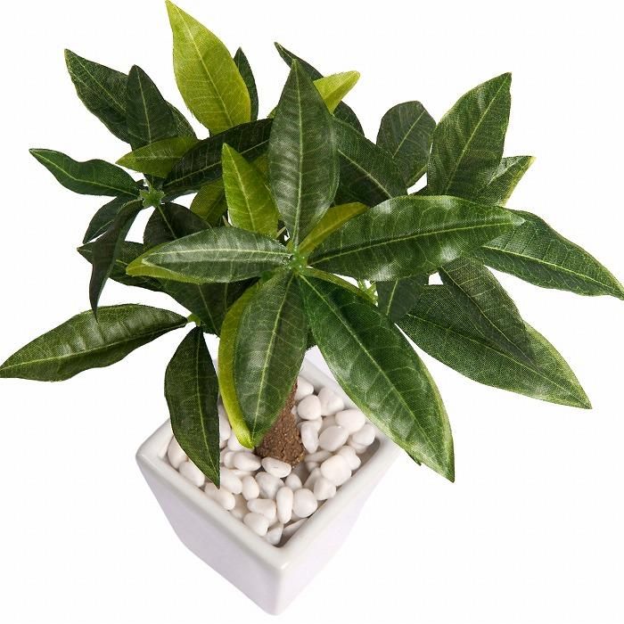造花(SC触媒)】観葉植物 ミニ パキラ 26cm(tg-7811sc)‐サムライ