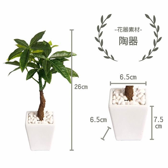 パキラの花様 リクエスト 2点 まとめ商品 パキラ様 リクエスト 2点 まとめ商品 パキラの花様 リクエスト 2点