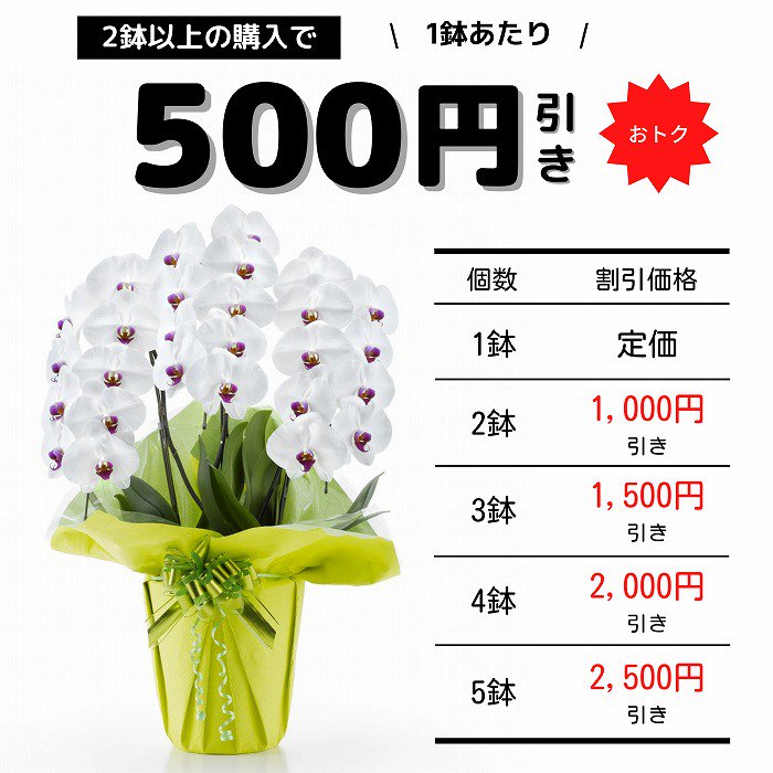 胡蝶蘭・スタンド花・花束を安く買う】花の早割り・まとめ買いでおトク