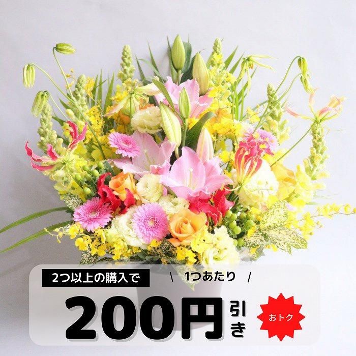 まとめ買い割引あり】マイセンの花柄プレート（28cm