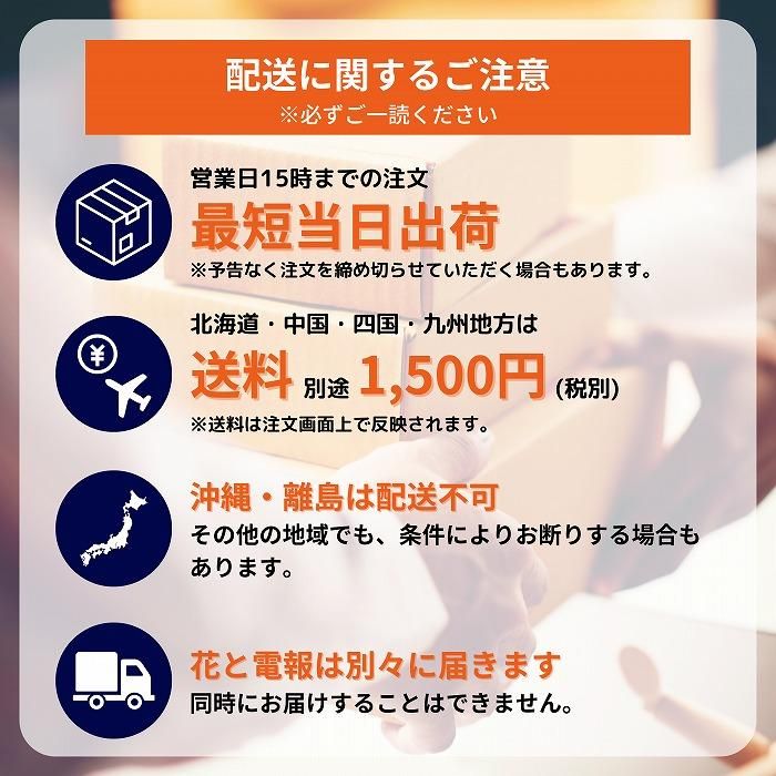 (ߥ)ȥե ե(M/ַ)ɥ롦BOXդڲ٤ޤ 24