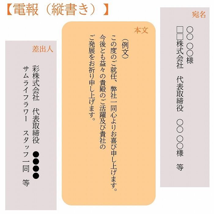 (ݥ)ȥե ե(M/ַ)ɥ롦BOXդڲ٤ޤ 15