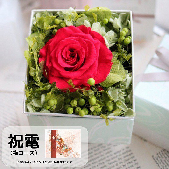 (ߥ)ȥץꥶ֥ɥե BOX SS(7/ӡ)ڲ٤ޤ<img class='new_mark_img2' src='https://img.shop-pro.jp/img/new/icons61.gif' style='border:none;display:inline;margin:0px;padding:0px;width:auto;' />