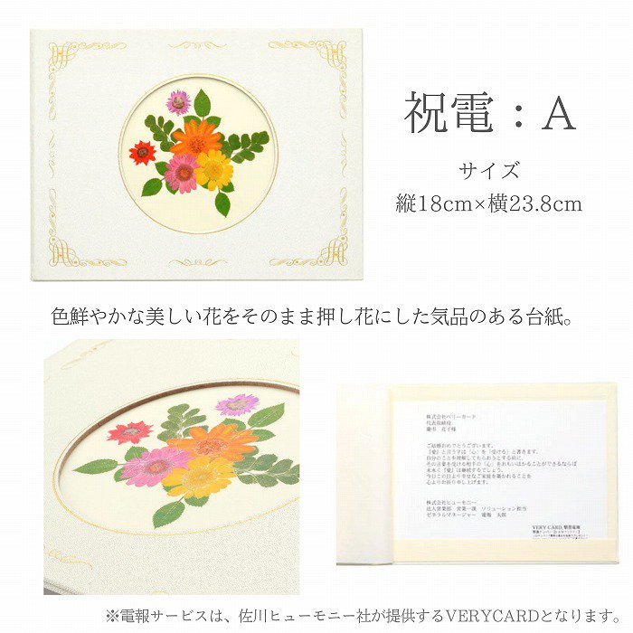 ()ȥץꥶ֥ɥե BOX SS(8/ڥɥåȡ餫ʥ꡼)ڲ٤ޤ 7