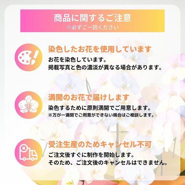 եĳ  3Ω 3942ذʾ(ΤƤȭ) 13