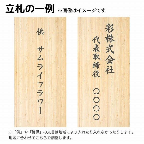 Ĥ(ᡦå)Ȥѥɲ   M 9